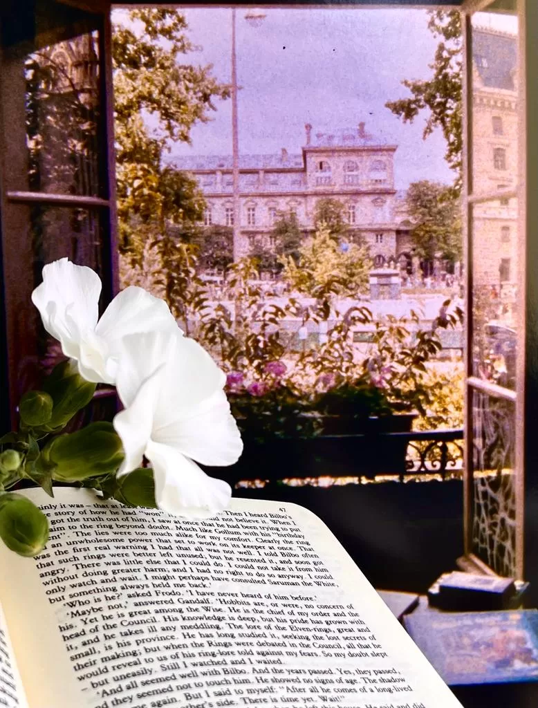 A book and a flower in front of a picture of a window opening up to Paris, alluding to why stories matter.